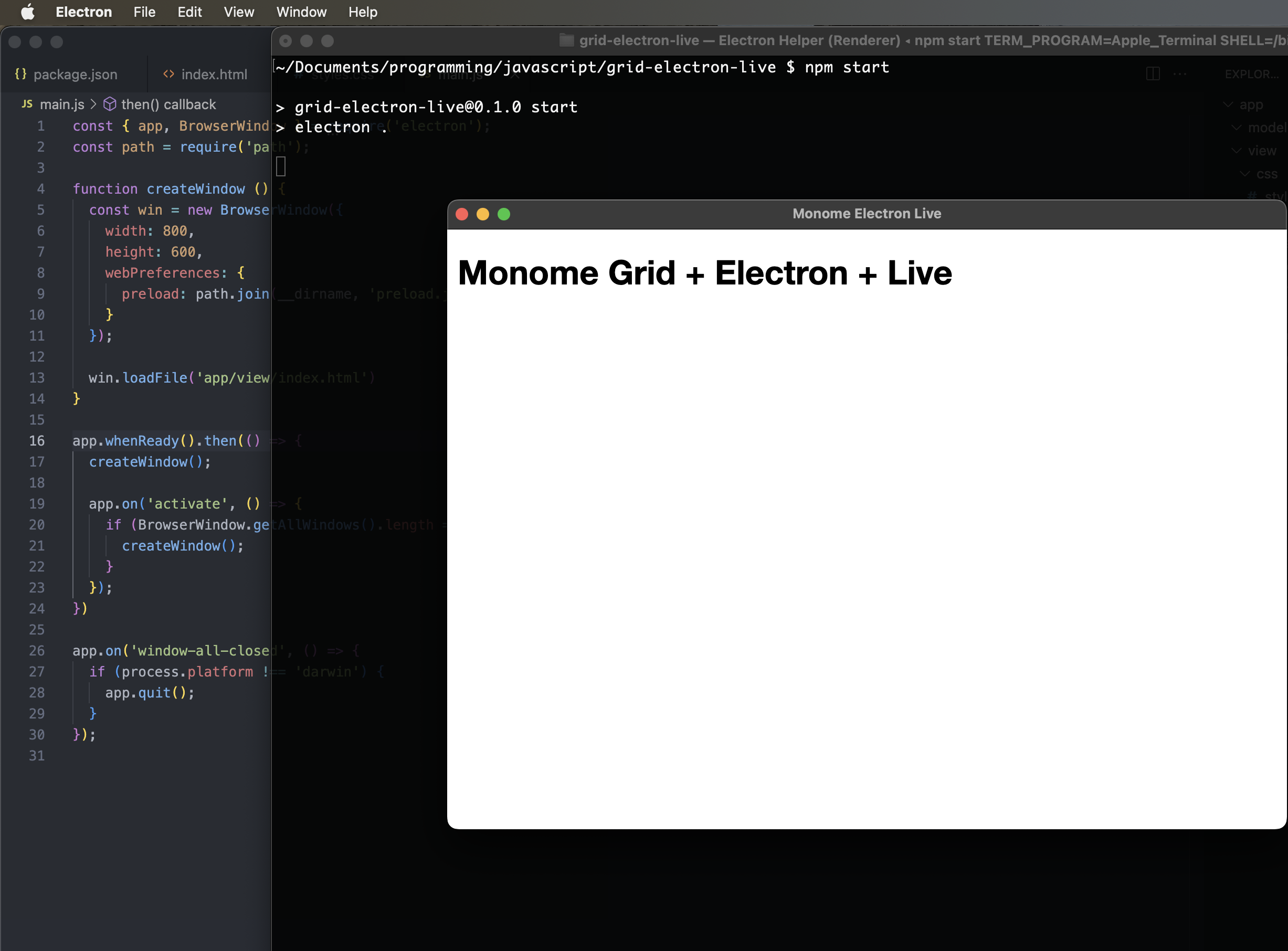 Screenshot of the Electron app running in development mode